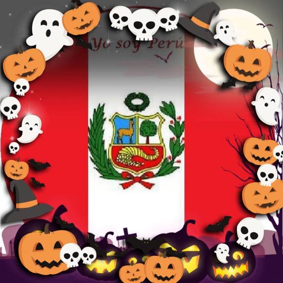 Meet your Posher, Luz - Picture 1 of 1